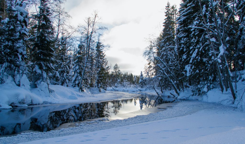 Vinterlandskap
