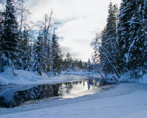 Vinterlandskap